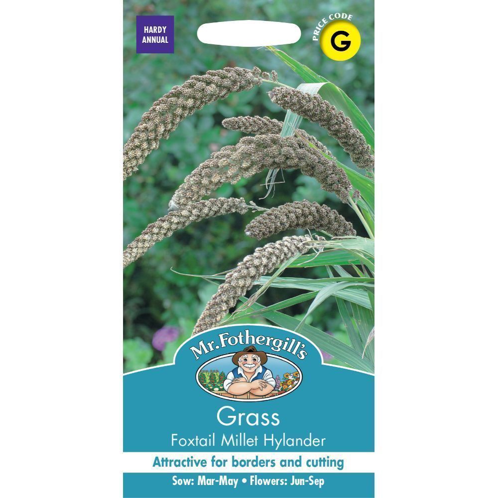 Mr Fothergill's Grass Foxtail Millet Hylander