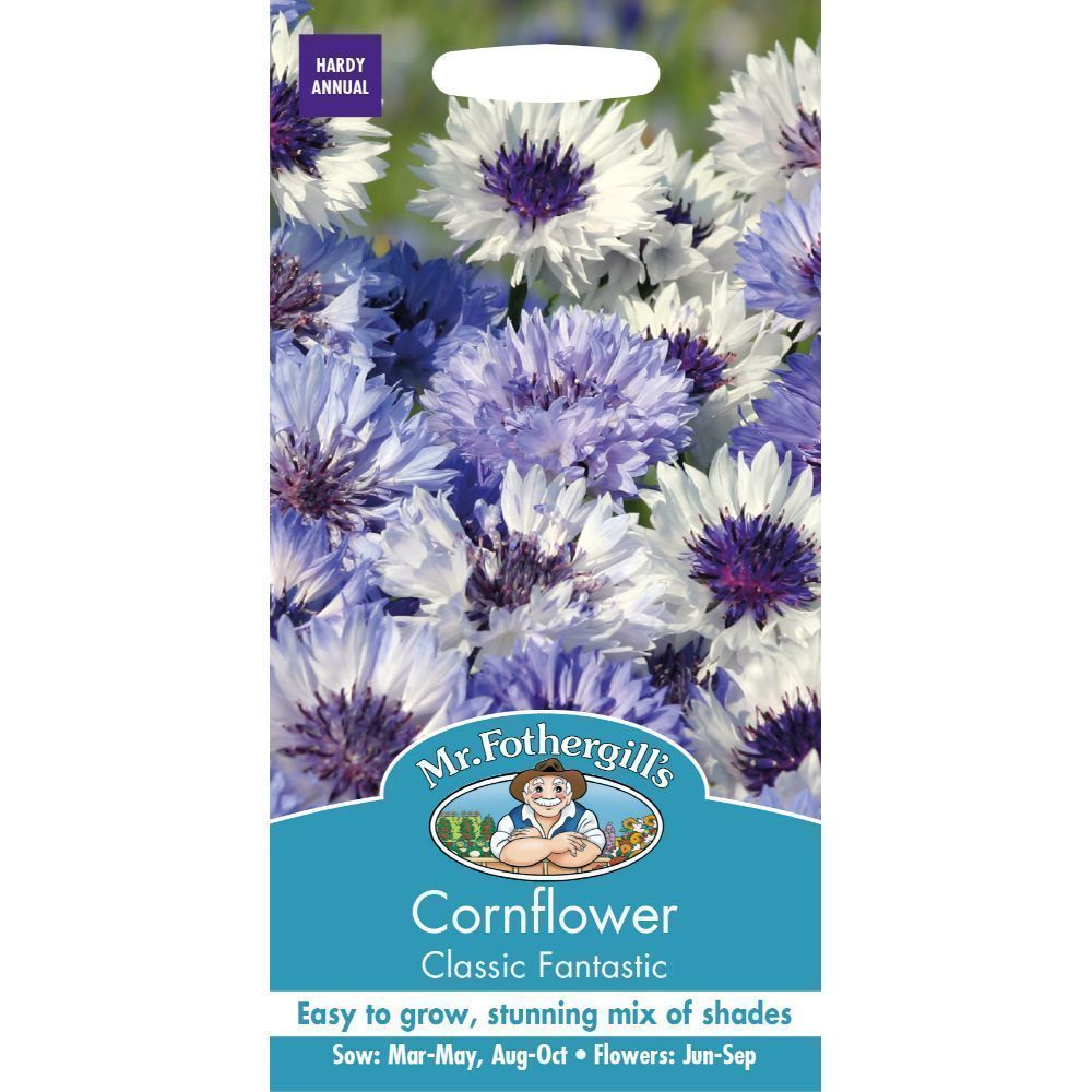 Mr Fothergill's Cornflower Classic Fantastic