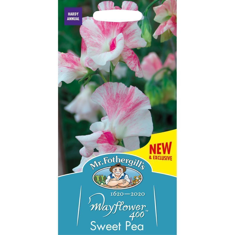 Mr Fothergill's Sweet Pea Mayflower 400