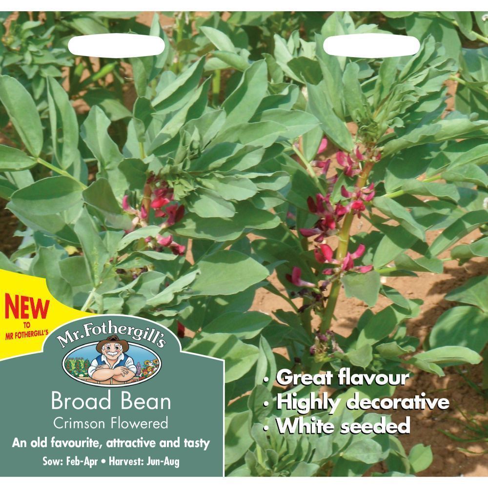 Mr Fothergill's Broad Bean Crimson Flowered