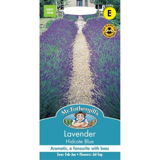 Mr Fothergill's Lavender Hidcote Blue