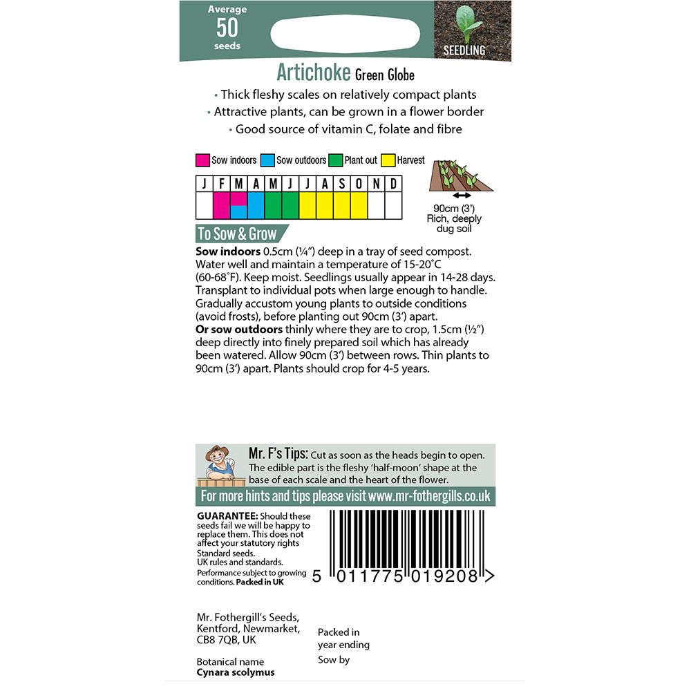 Mr Fothergill's Artichoke Green Globe