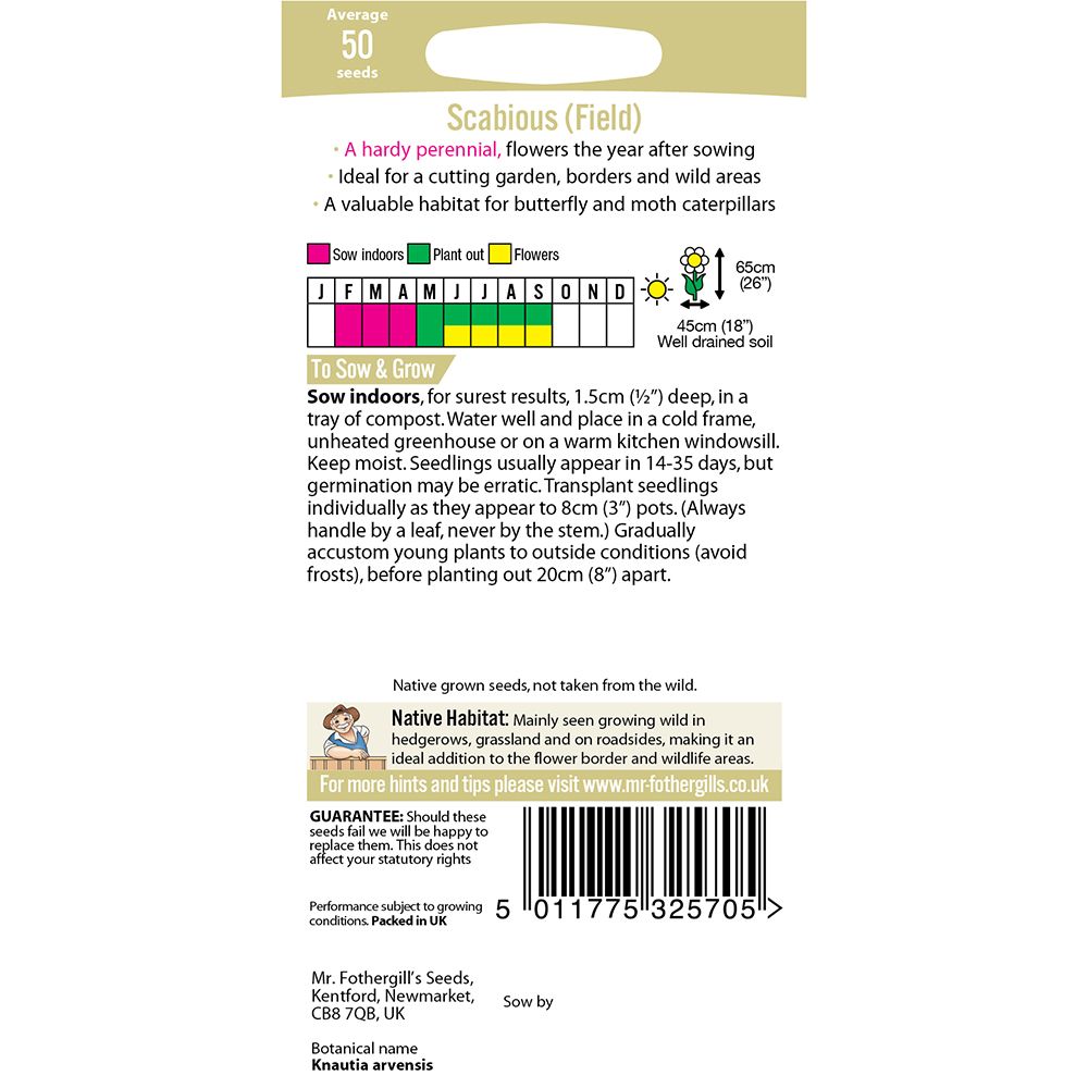 Mr Fothergill's Wild Flowers Scabious