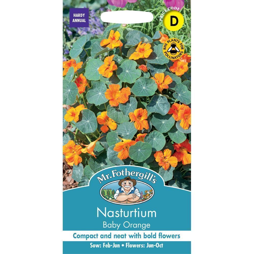 Mr Fothergill's Nasturtium Baby Orange