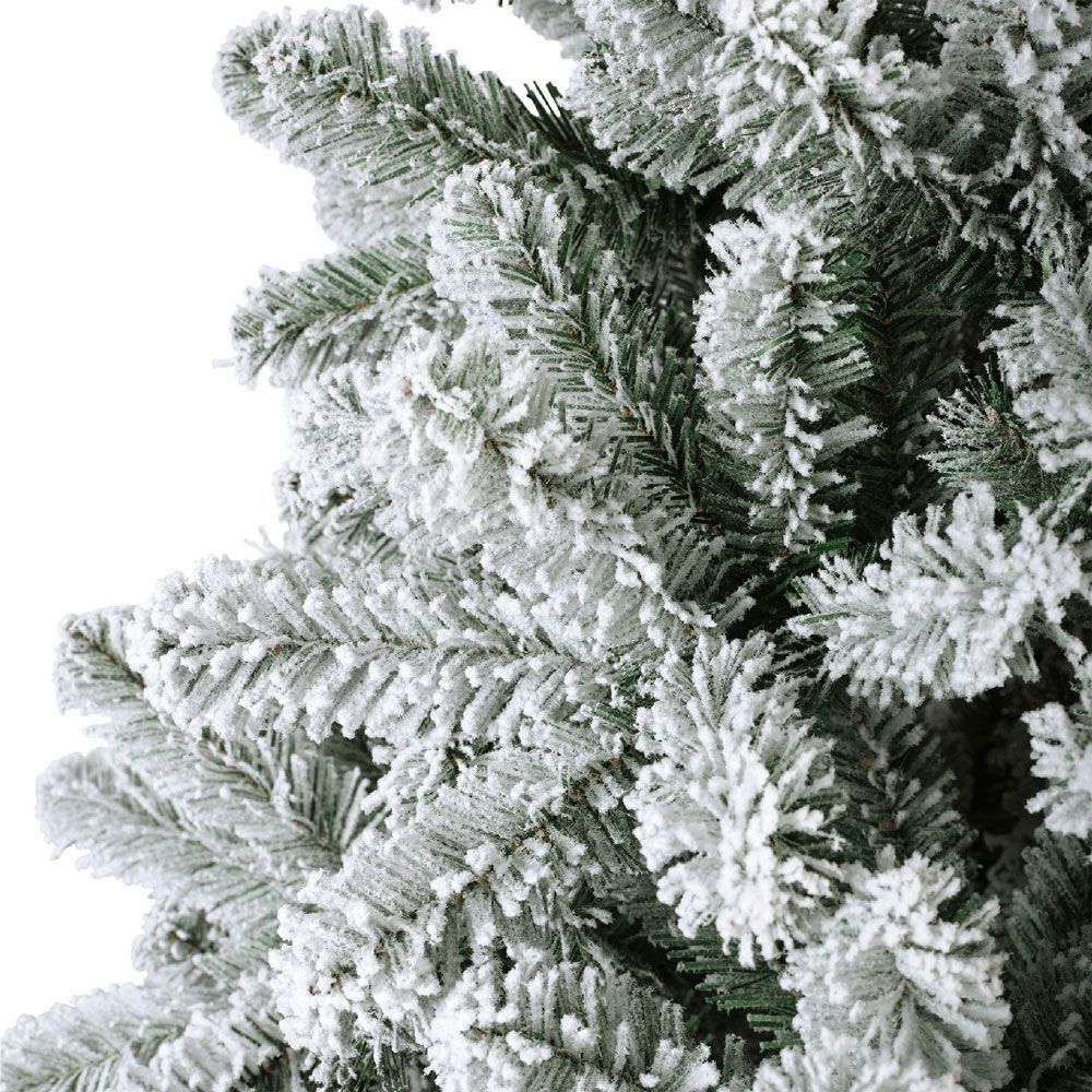 Fern Christmas Snowy Kielder Pine Tree 5ft (1.5m)