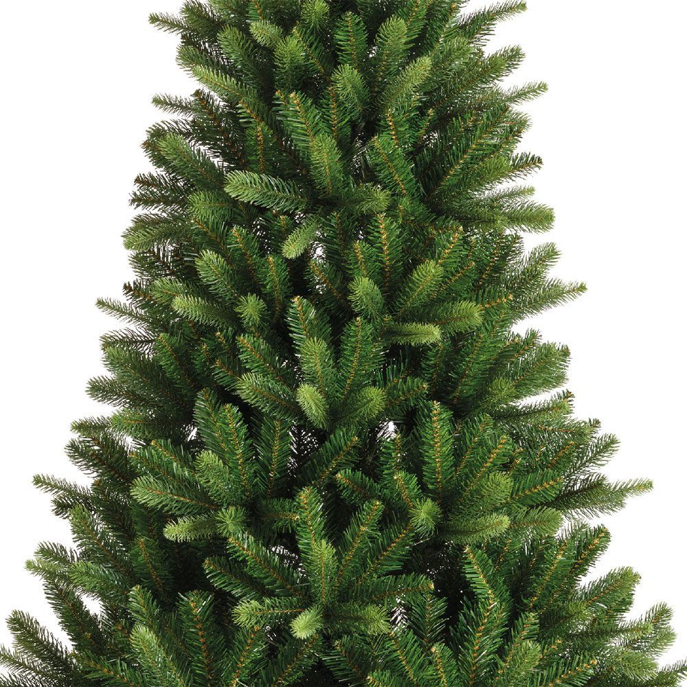 Fern Christmas Epping Fir Tree 6ft (1.8m)