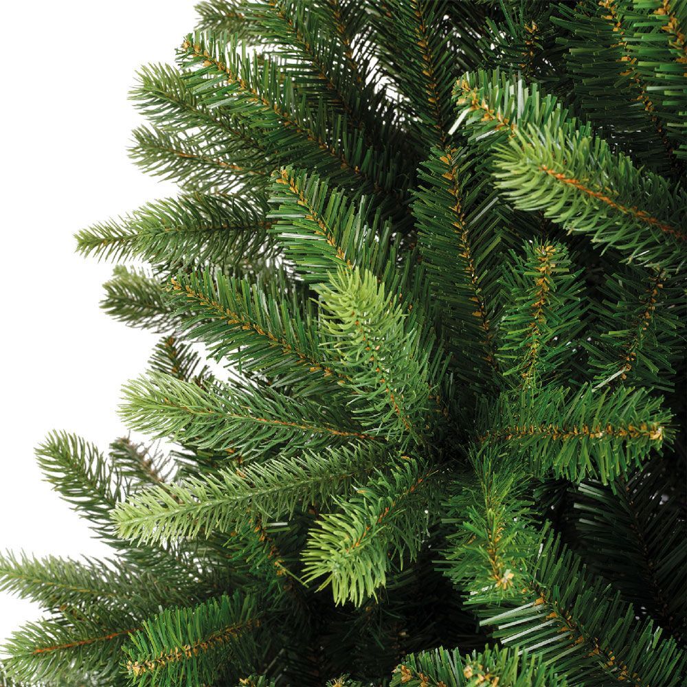 Fern Christmas Epping Fir Tree 6ft (1.8m)