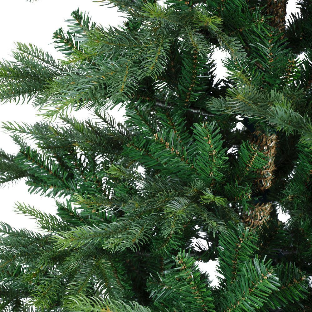 Fern Christmas Thetford Spruce Tree 7ft (2.1m)