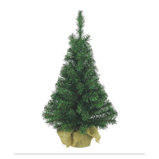 Fern Christmas Mini Kielder Tree 2.5ft (0.75m)