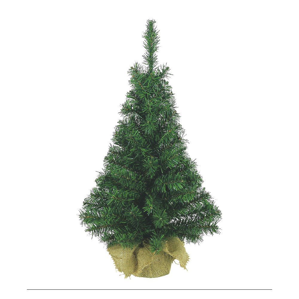 Fern Christmas Mini Kielder Tree 2.5ft (0.75m)