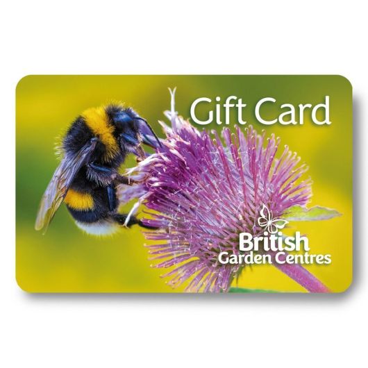 BGC Gift Card - Bees £5