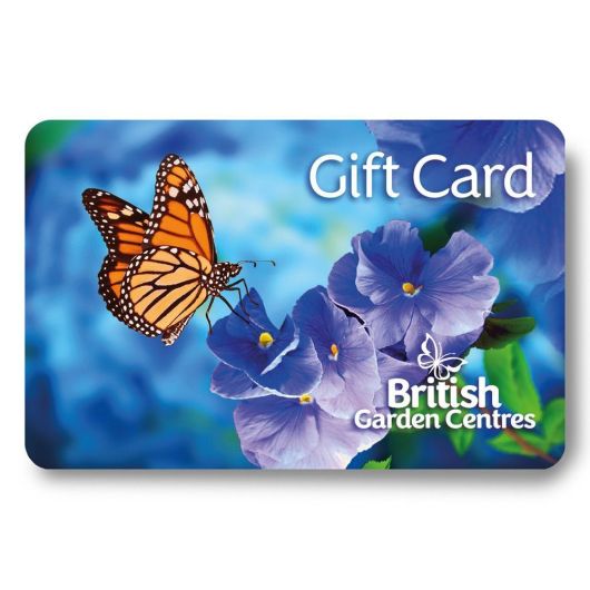 BGC Gift Card - Blue Butterfly £5