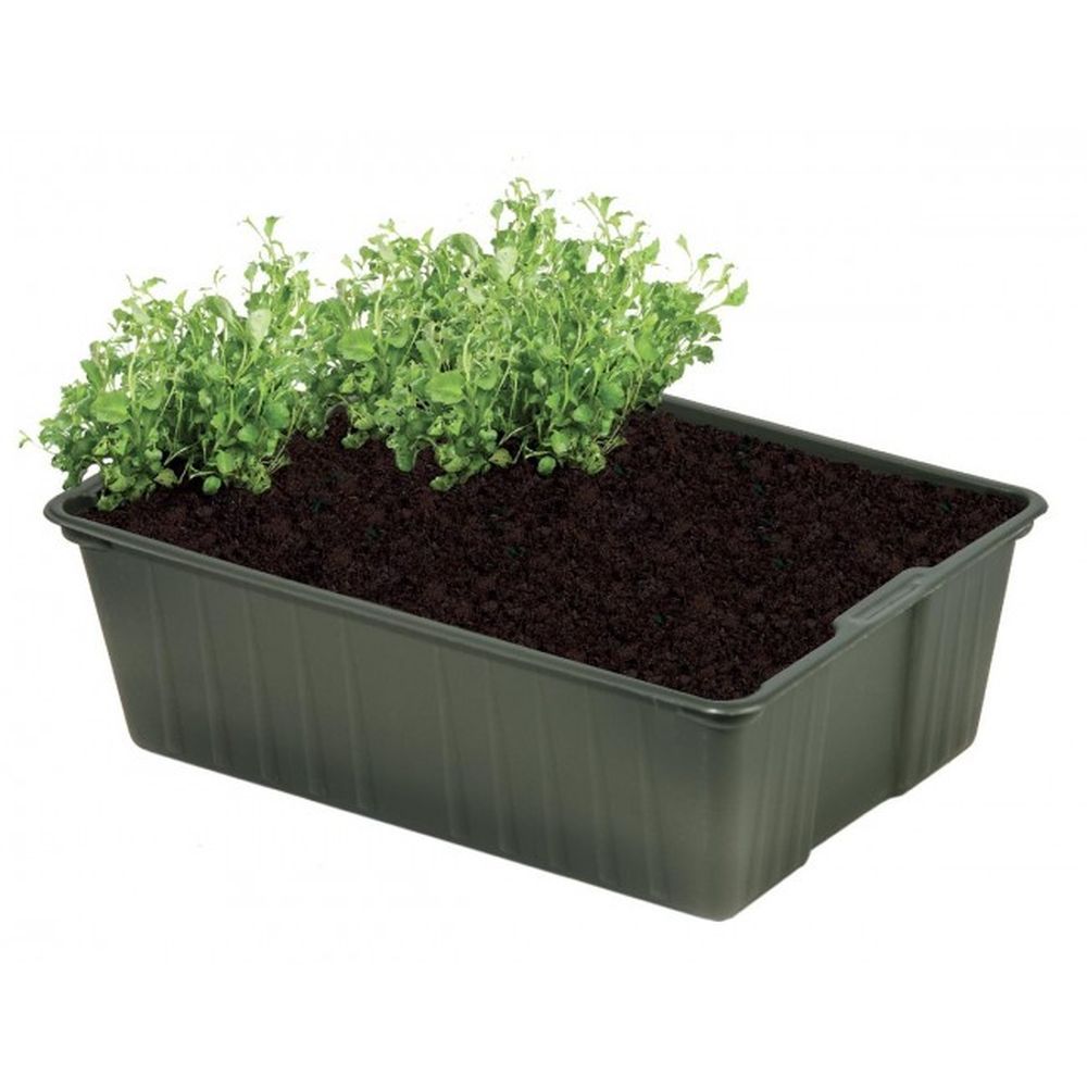 Garland Bio-Based Mini Seed Trays - 5 Pack