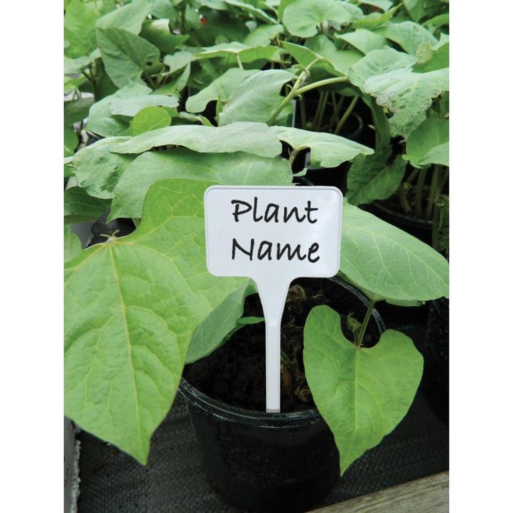 Garland White Solid Tee Labels - 10 Pack