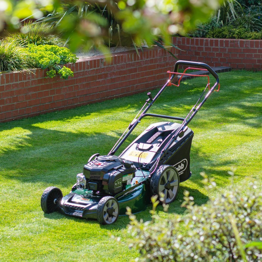 Webb 53cm Self Propelled High Wheel Petrol Rotary Lawnmower British Garden Centres