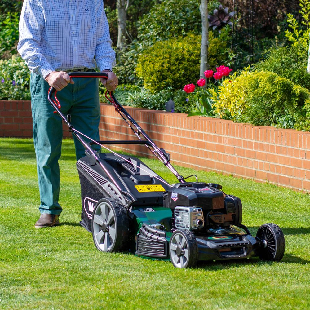 Webb 53cm Self Propelled High Wheel Petrol Rotary Lawnmower