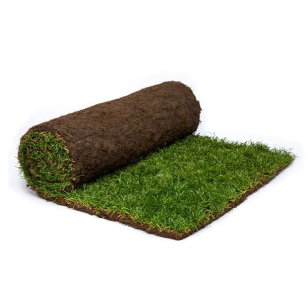 Rolawn Medallion Turf - 30 Rolls