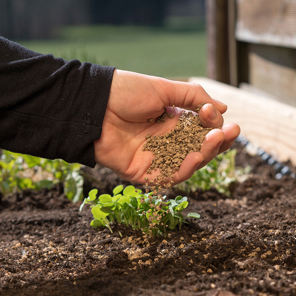 Feeding your plants with granules