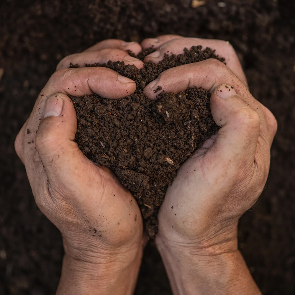 Love Your Soil