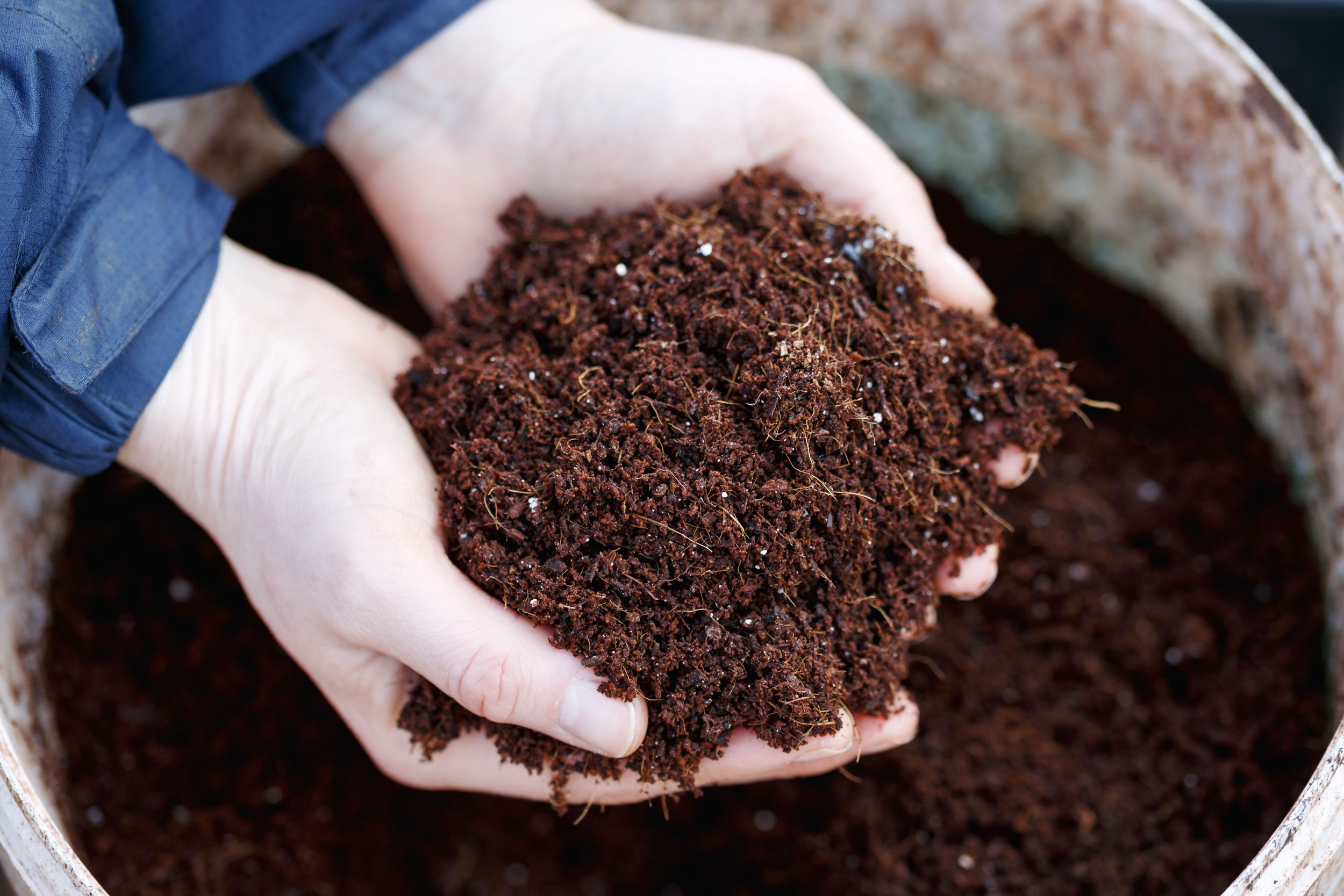 Seed Harvesting